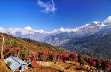 Annapurna