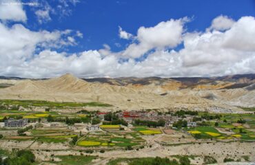 upper mustang