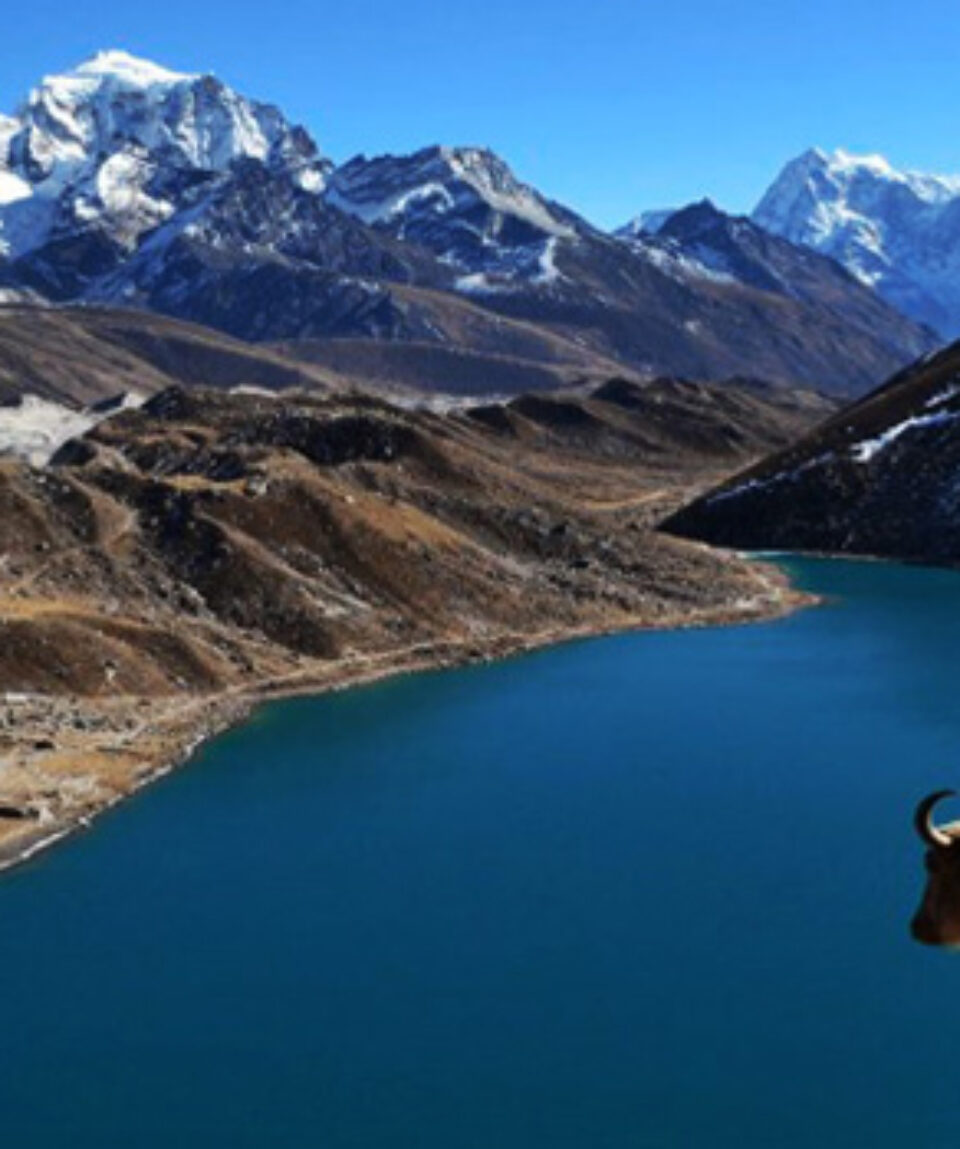 gokyo-lake-trek