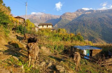 Annapurna BC